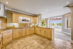 Photo 11- click for photo gallery